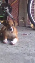 Marley & bidu