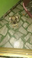 Edy