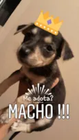 Sem nome