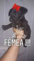 Sem nome