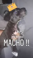 Sem nome