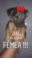 Sem nome