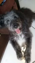Bob