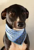 beto