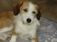 Mel