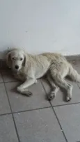 Não definido