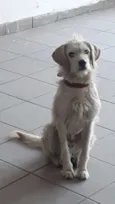 Não definido
