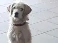 Não definido