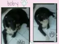 Boby