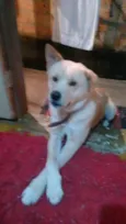 Marley