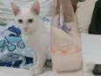 Mia