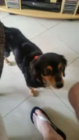Não Sei 