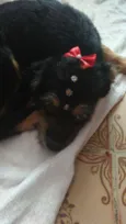 Rubi