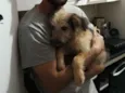 Finn