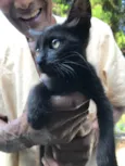 Bolinha 