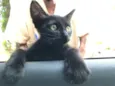 Bolinha 