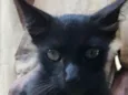 Bolinha