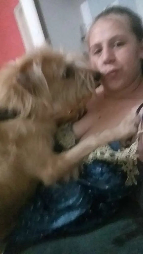 Cachorro raça Vira lata idade 7 a 11 meses nome Bob