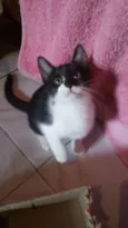 Tommy, Billy 