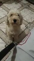 Bob