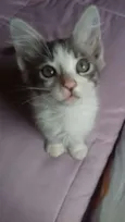 Tom