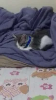 Tom