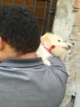 Benji