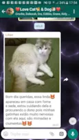 Não  sei. 