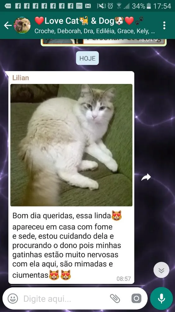 Gato ra a Não  sei idade 1 ano nome Não  sei. 