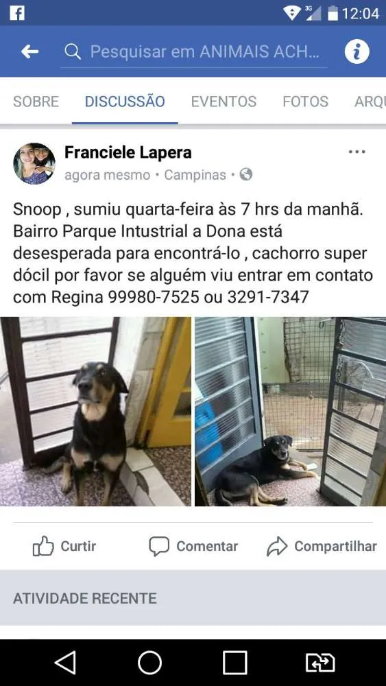 Cachorro ra a Sdr idade 6 ou mais anos nome snoop