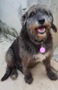 Julie