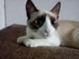 Whisky