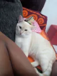 Nick