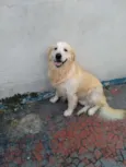 Marley