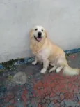 Marley