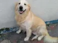 Marley