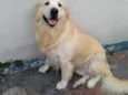 Marley
