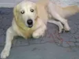 Marley