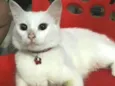 Sally