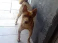 Spyke