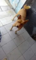 Spyke