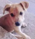 MARLEY