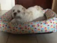 Toby
