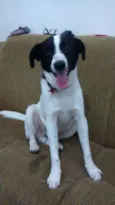 Bhetoolv