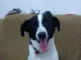 Bhetoolv