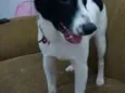 Bhetoolv