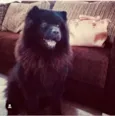 Marley