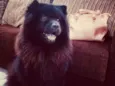 Marley