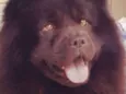 Marley