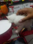 Não definidos